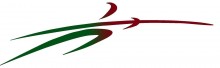The Fencing Club (Whites Hill) logo